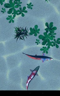 Koi pond 3D Screenshots 4