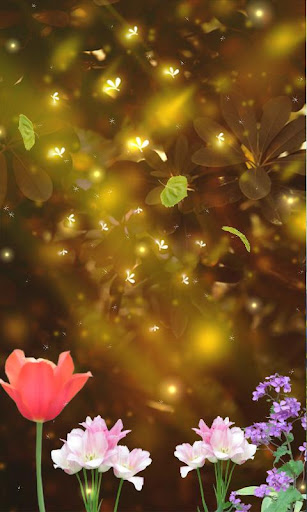 Fireflies Live Wallpaper