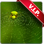 Cover Image of Download Web with spider live wallpaper 5.2 APK