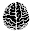 Your psychological age Download on Windows