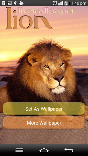 Lion Live Wallpaper