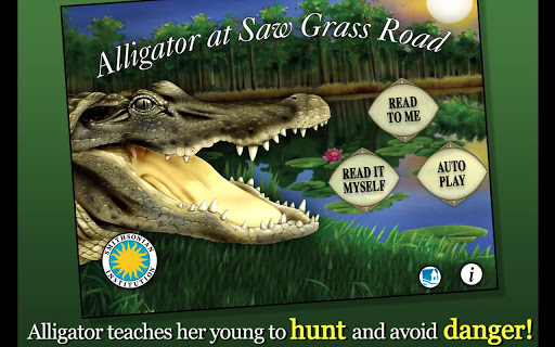 Alligator at Saw Grass Road