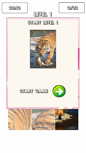 【免費解謎App】Tiger For with Puzzle-APP點子