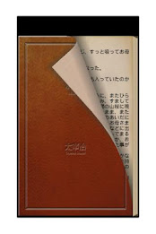 setting sun poster 2