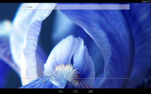 免費下載個人化APP|Irises HD Live wallpaper app開箱文|APP開箱王