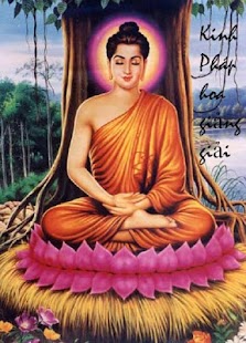 Free Download Kinh Pháp Hoa giảng giải APK for Android