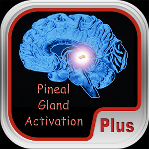 Pineal Gland Activation Plus logo