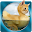 Impossible photos Download on Windows