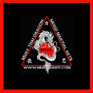 Muay Thai Dragon Martial Arts 1.400