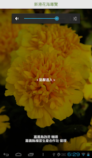 新港花海 Screenshots 0