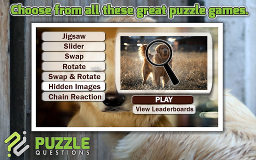 Golden Retriever Puzzle Games