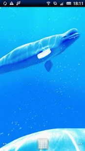 How to get Shoal of Beluga 1.0.0 mod apk for pc