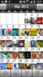 download 写真日記 free