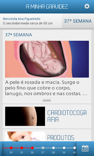 Nove Meses - A Minha Gravidez