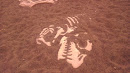 Dinosaur Bones in the Sand