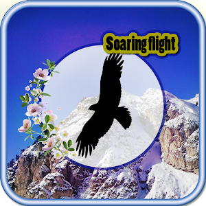 Soaring flight for PC and MAC
