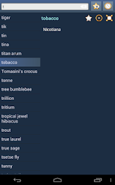 English Multiple Languages poster 14