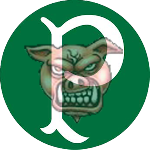 Relógio do Palmeiras 1.2