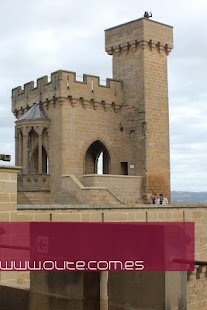 Olite Screenshots 4