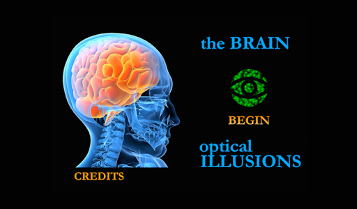 The Brain Optical Illusions