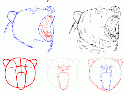 免費下載教育APP|How to Draw Animals app開箱文|APP開箱王