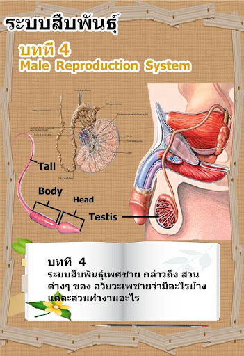 【免費教育App】AR-Reproduction System-APP點子