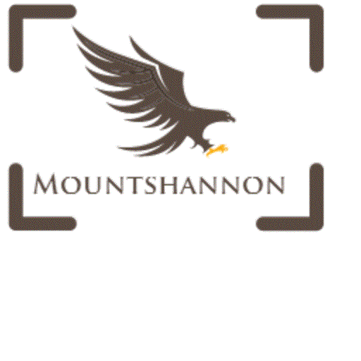 Mountshannon LOGO-APP點子