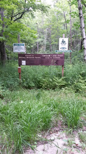 Whitney Memorial Forest