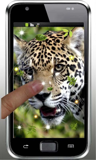 Jaguar Jungle live wallpaper