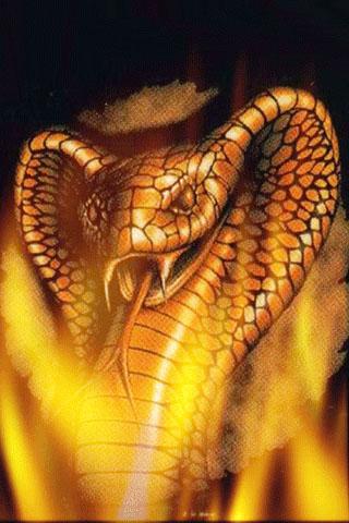 Download Flame Snake Live Wallpaper
