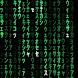 The Matrix Code