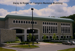 Nursing Learning Specialist logo