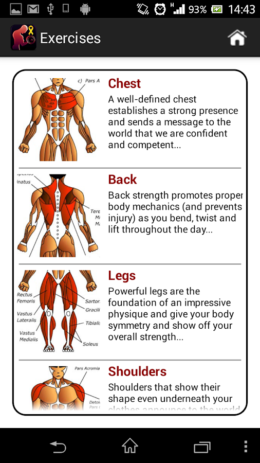 Dumbbell Muscle Workout Plan P - screenshot
