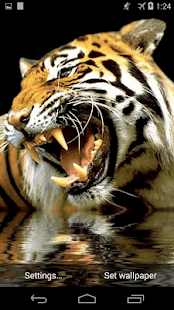 How to mod Tiget In Water 1.0 apk for android