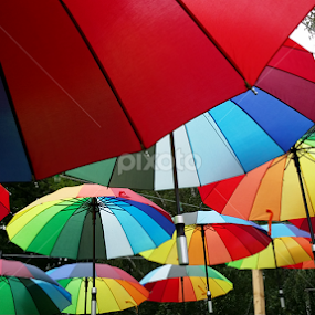umbrellas by Daniela Murat - Artistic Objects Other Objects