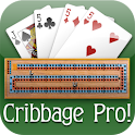 Cribbage Pro logo