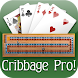 Cribbage Pro icon