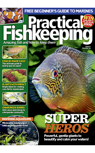 Practical Fishkeeping Magazine