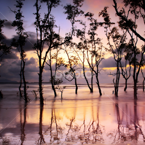 by Sim Sherina - Landscapes Waterscapes