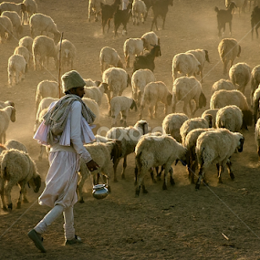 Village men by Jitendrasinh Sodha - People Portraits of Men