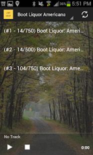 Download Country Music Radio Stations APK