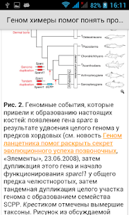 Download Elemental (elementy.ru) APK for PC