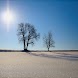 Winter Landscapes