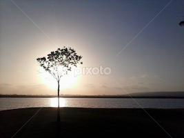 Convoco a todos a tomar unos minutos de su irremplazable tiempo de vida para orar en este momento que lees mi mensaje...Orar por todas esas personas de tu familia y de la mia que estan pasando por conflictos en la salud, desde una gripe hasta un cancer...ellos nos nesecitan unidos y tal vez tu mismo(a) ocupes de esta oracion en unidad!Pongamosle accion a ese amor que decimos tenernos unos a otros.Yo estare orando por ti, por esa persona que yo se que amas inmensamente...no veas la soledad por q by Sergio Estrada -  