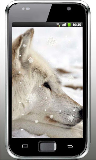 Wolves Winter live wallpaper