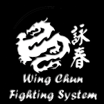Wing Chun Fighting System Apk