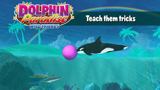 【免費休閒App】Dolphin Paradise: Wild Friends-APP點子