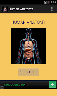 Human Anatomy