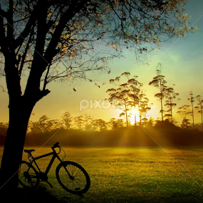 Morning Rancaupas by Iwul Maulana - Landscapes Sunsets & Sunrises