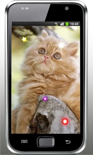 Kittens Voices live wallpaper